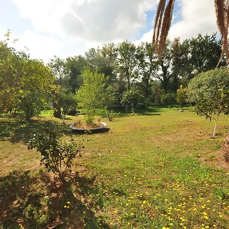 Laskaris Apartamento Dassia (Corfu)